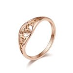 Staniless steel ring
