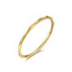 Staniless steel ring